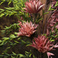 Home Decor Floral Dried Stick