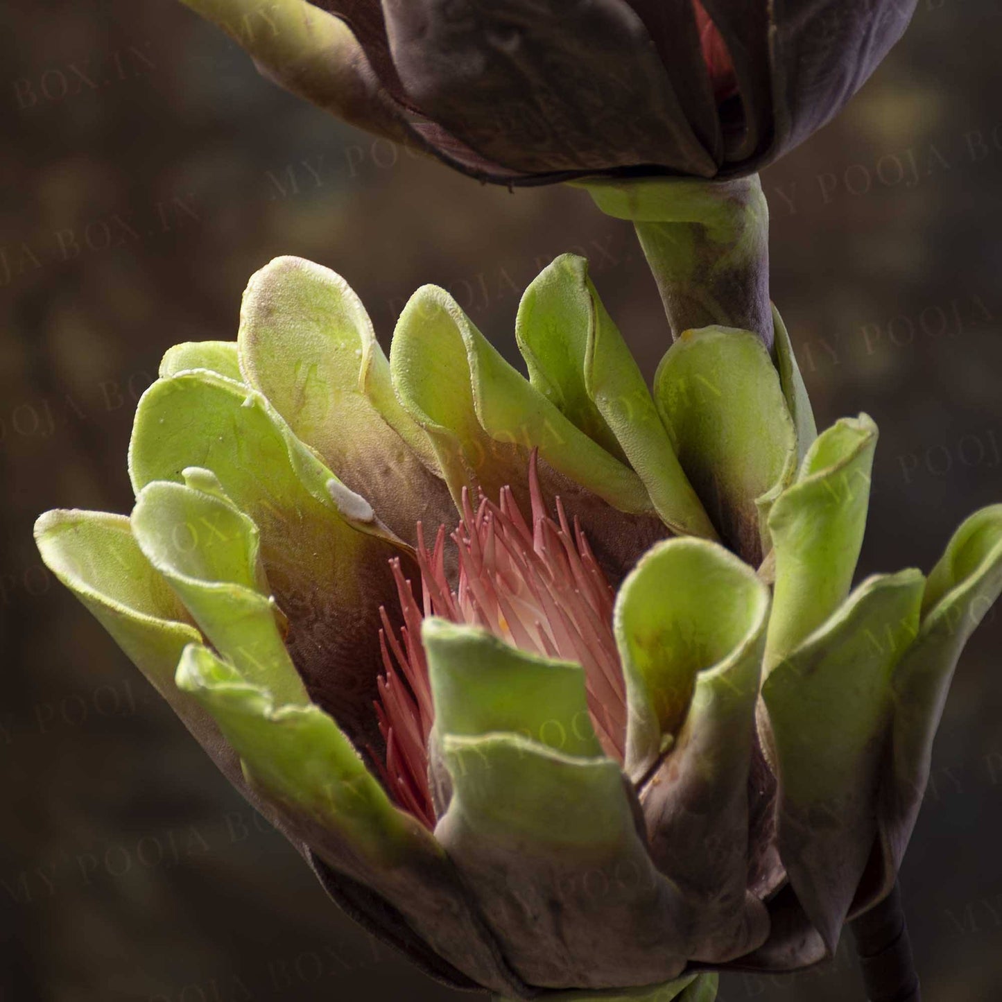 Beautiful Decorative Artificial Flower Stick