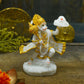 Hanuman With Sanjeevani Booti