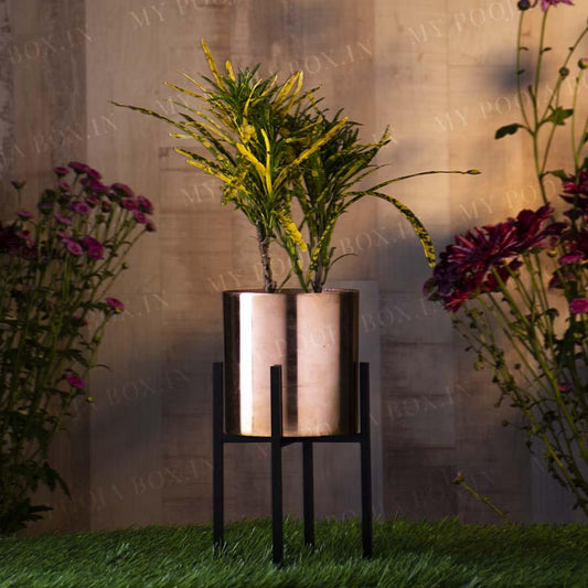 Bahira cylindrical Planter