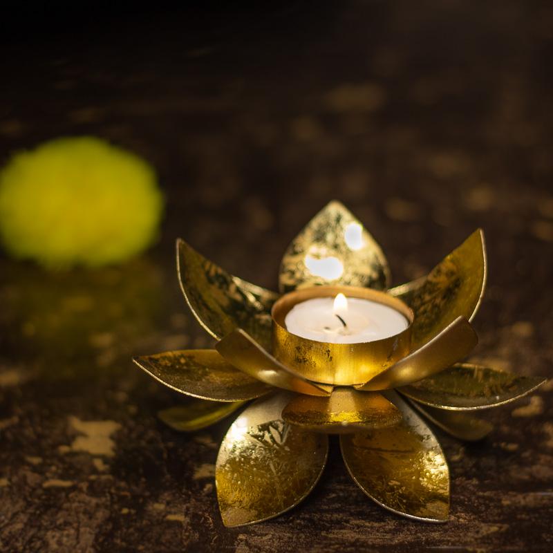 Lotus Tlight holder