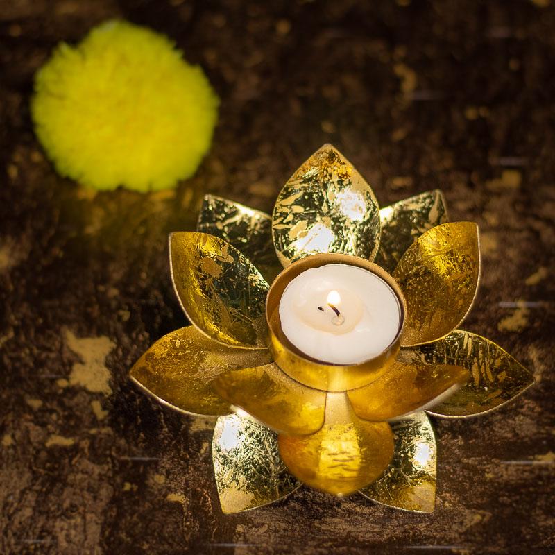 Lotus Tlight holder