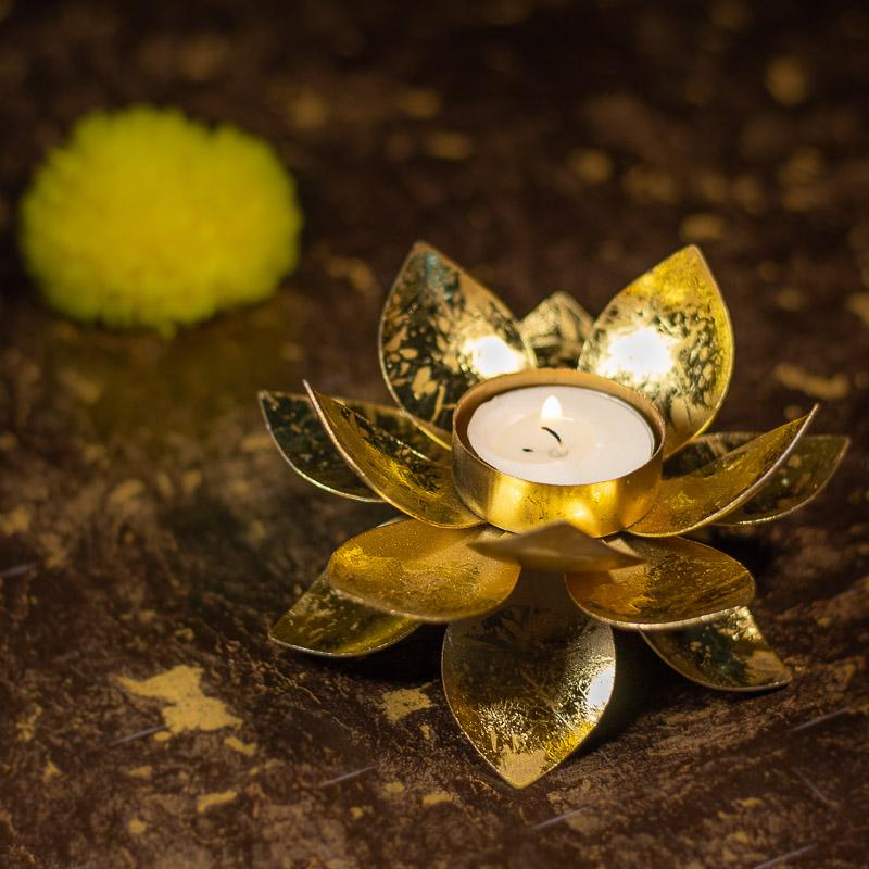 Lotus Tlight holder