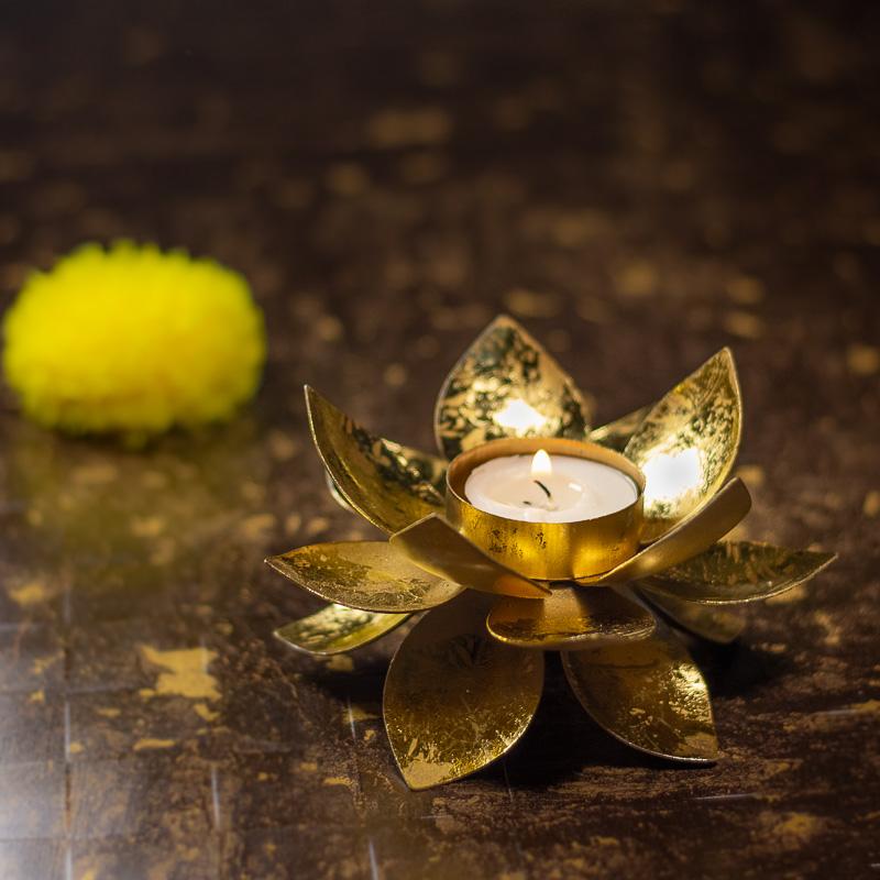 Lotus Tlight holder