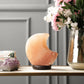 Himalayan Pink Salt Crescent Moon Glow Lamp