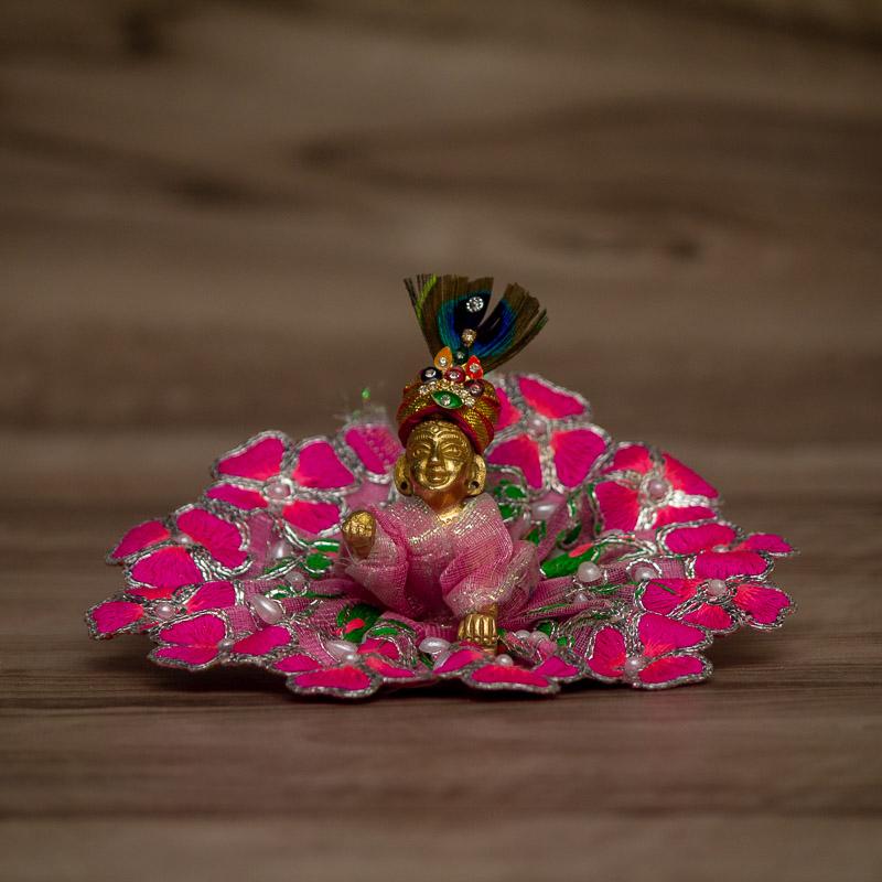Laddu Gopal (small)