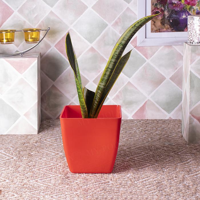 Reusable Red Planter