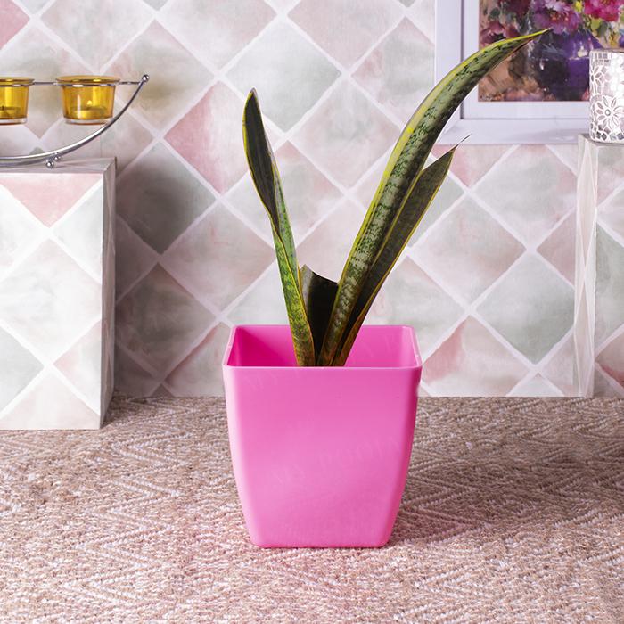Reusable Pink Planter