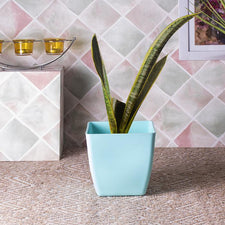 Reusable Mint Blue Planter