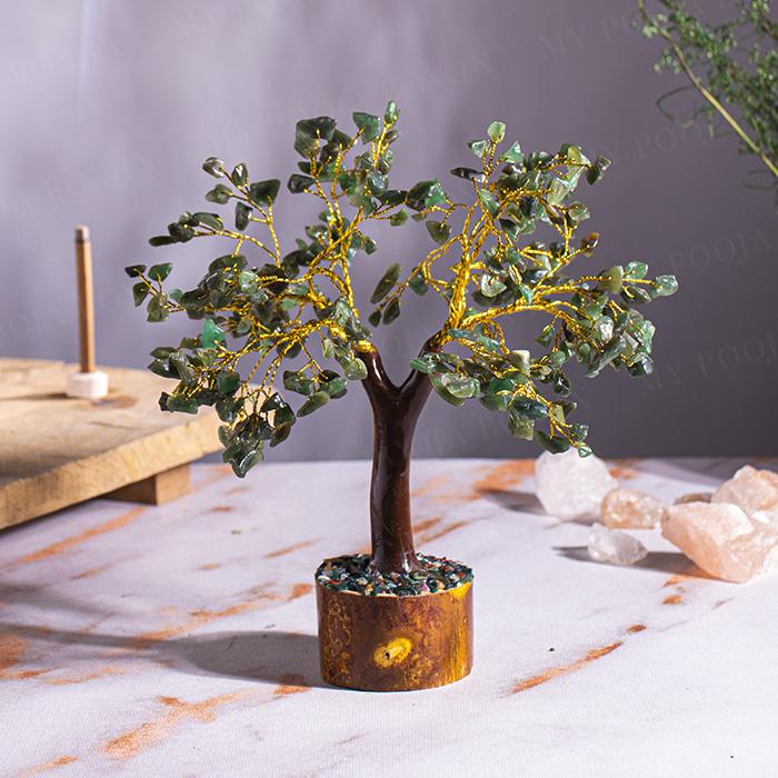 Green Jade Tree For Boosting Immune System