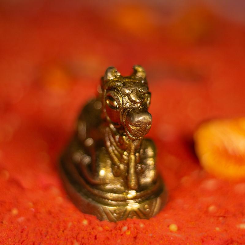 Antique Brass Nandi - Small