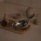 Abalone Shell Sage Holder