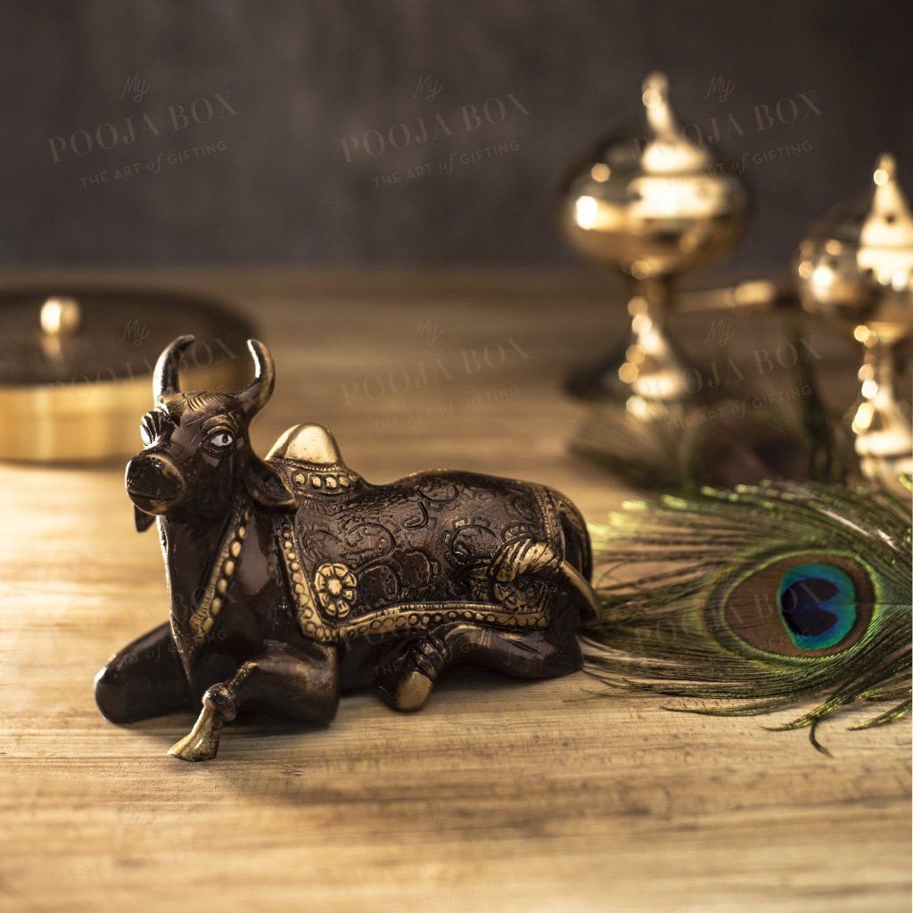 brown brass nandi