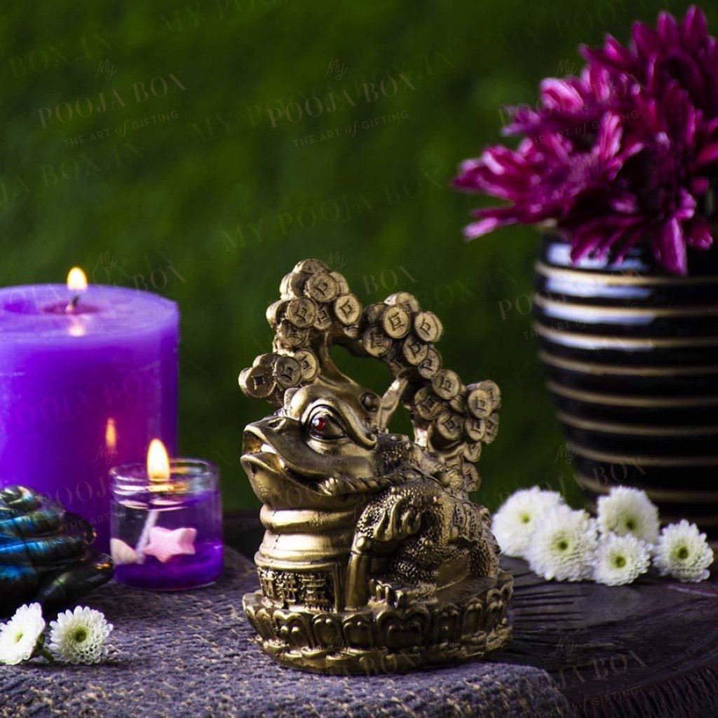 Feng Shui Clay Frog on Coin Wealth Money Tree For Prosperity and Good Luck