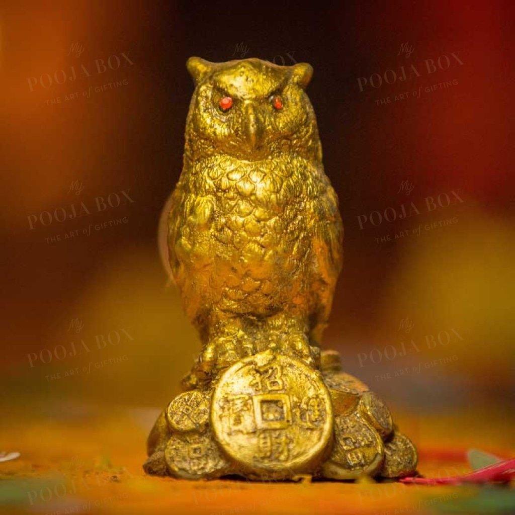 Feng Shui Coin Owl Showpiece