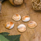 Gomti Chakra(Set Of 5) Pooja Items