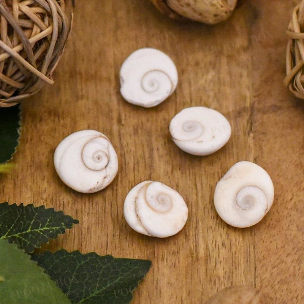 Gomti Chakra(Set Of 5) Pooja Items