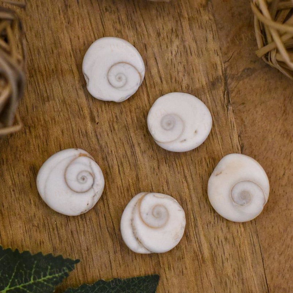 Gomti Chakra(Set Of 5) Pooja Items