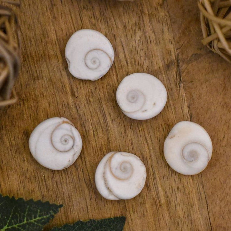 Gomti Chakra(Set Of 5) Pooja Items