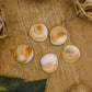 Gomti Chakra(Set Of 5) Pooja Items