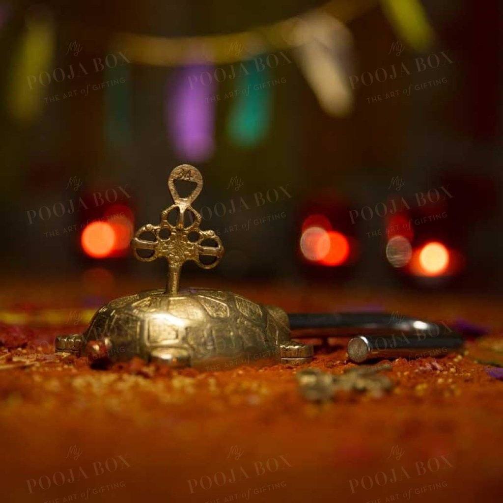Handcrafted Brass Turtle Lock Home Decor