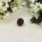 Natural Chhe Mukhi / Six Faced Rudraksha Pooja Items