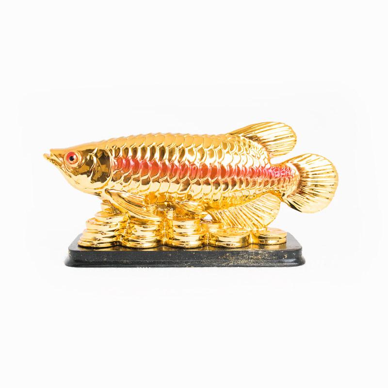 Buy Feng Shui Golden Arowana Fish Online in India - Main Image