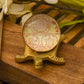 Shree Sampurna Glass Tortoise Yantra