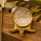 Shree Sampurna Glass Tortoise Yantra