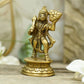 Vital Brass Hanuman Murti Idol